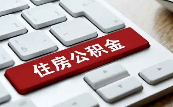 肇东公积金离职怎么取（公积金离职了怎么提）